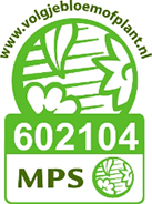 Vignet MPS
